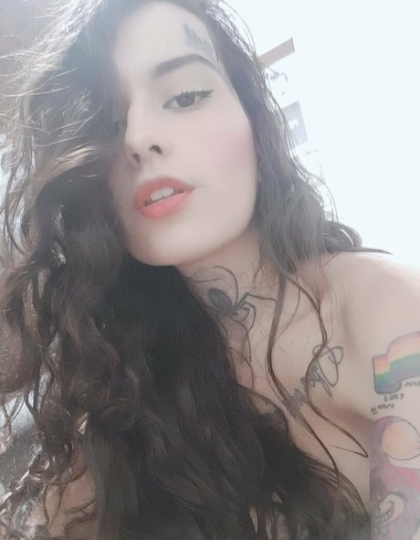 pitmagrinfree star du porno gratuite collection