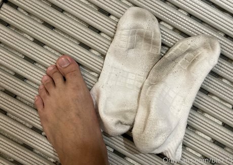 blc113 étoile chaude collection