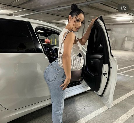 Theariazul étoile sympa galeries