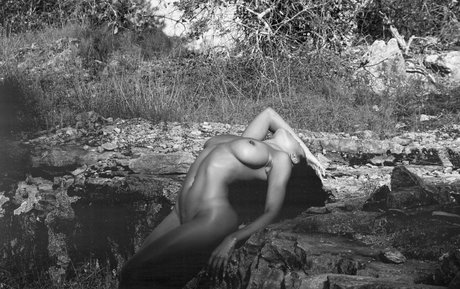 fans en fauteuil roulant uniquement sexy parfait image