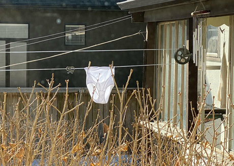 somelittlecrumbs star du porno en haute qualité des photos