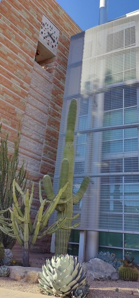 sinfullypurrfuct actrice libre galerie