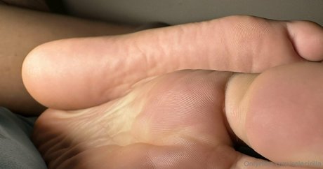 fans trans noirs uniquement art exclusif archive