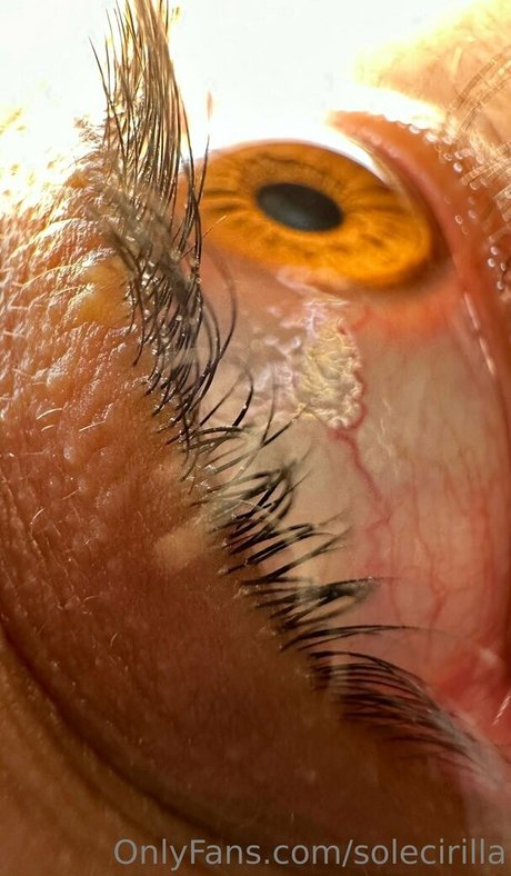 solecirilla jolie actrice galeries