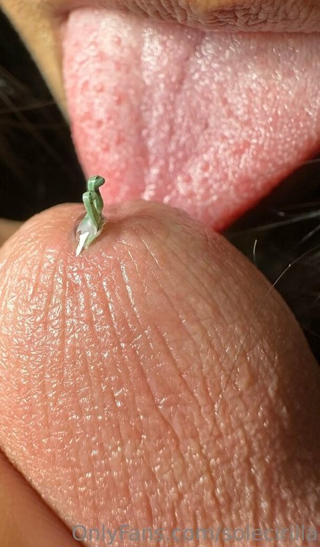 solecirilla star du porno chaud images