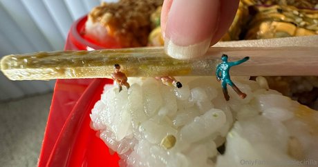 solecirilla modèle chaud collection