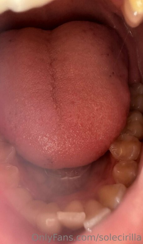 solecirilla Fotoaufnahmen