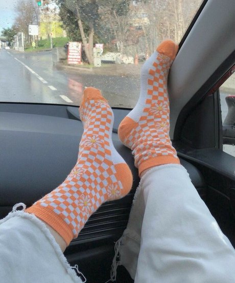 fans de transexuelles sexy uniquement exclusif parfait images