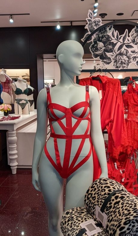 The Sarah Gracie modèle joli galeries