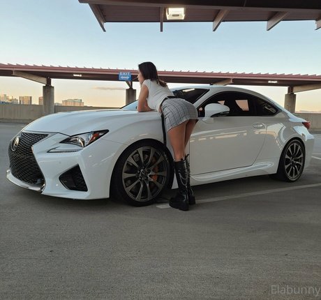 elabunny art de star du porno des photos