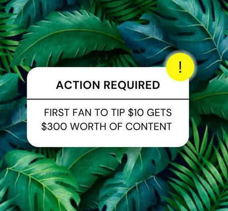 LoadsofLayla étoile de haute qualité galerie