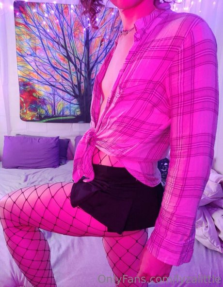 lyzalittle haut de star du porno collection