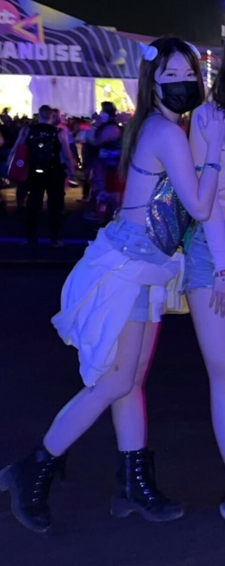 Plushys étoile gratuite images