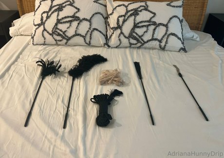 adrianahunnydrip actrice de nus image