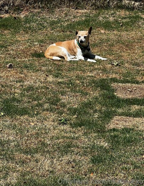 tikalovexo nus de stars du porno img