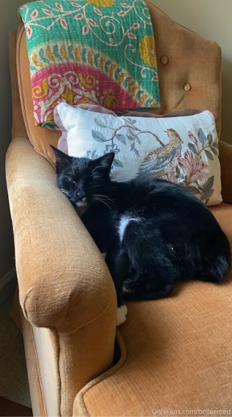 bellecreed actrice pornographique des photos