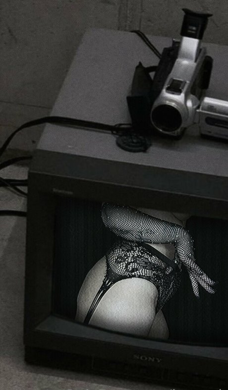 ls peek star du porno parfaite galeries