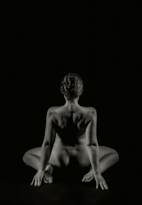 britishpixie étoile magnifique photos