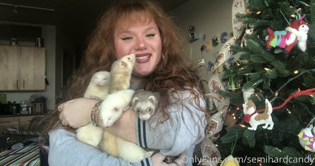 tragedyann étoile de l'art galerie