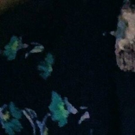 melo4free star du porno en haute qualité image