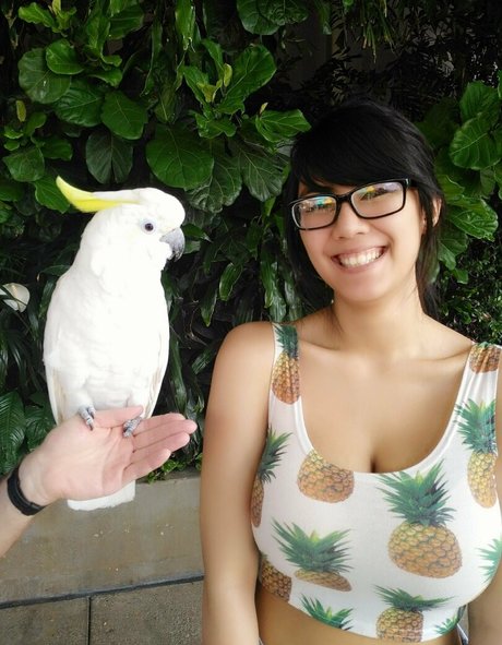 Marine modèle gratuit galeries