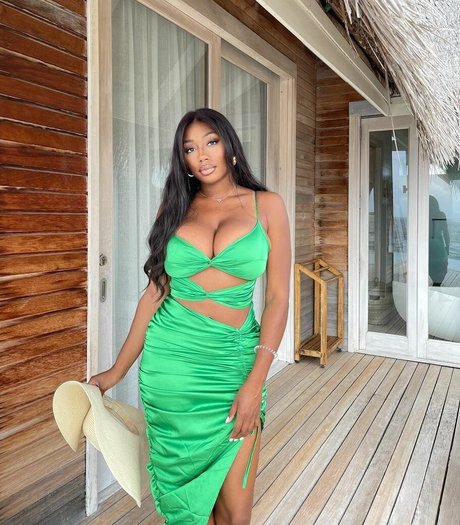 Vivi Panamera jolie étoile galeries