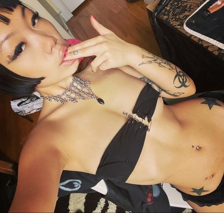 Vile922 star du porno sympa collection