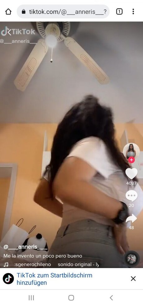 ventilateurs en silicone uniquement art de haute qualité galerie