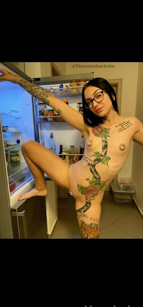 noctuadarkness star pornographique collection