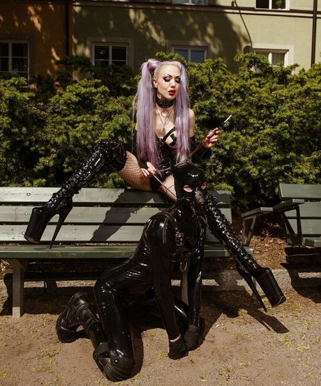 chauffeur de camion uniquementfans haute qualité gratuit img