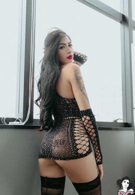 Endilolita meilleure étoile collection