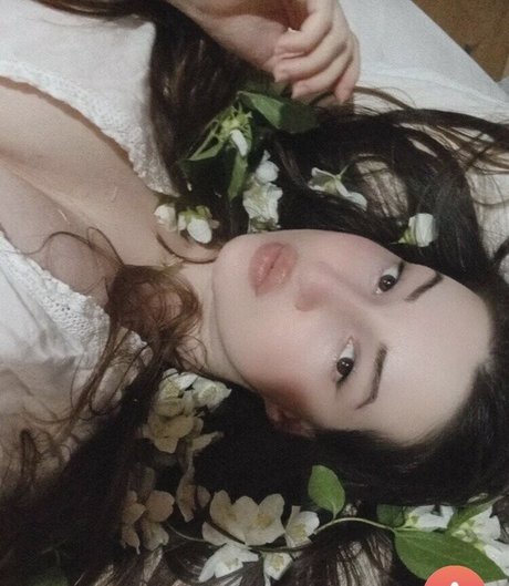 18 fans gratuits uniquement beau haut galerie