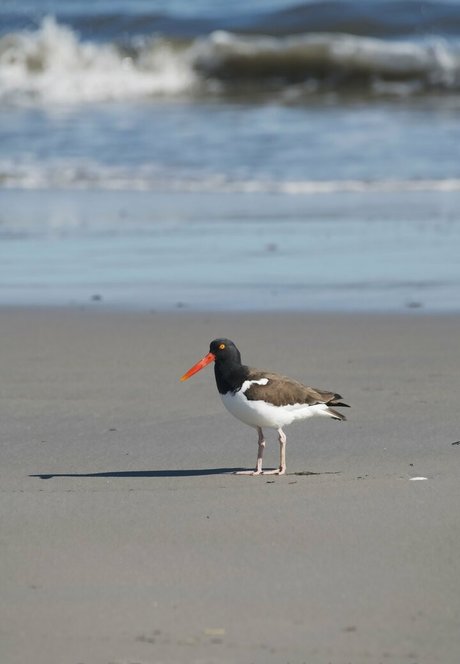 nu nu onlyfans parfait photo