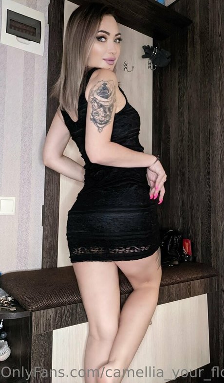 camellia your flower modèle image