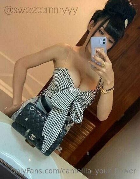 camellia your flower étoile de l'art collection