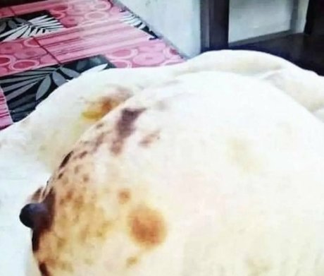 baise lesbienne onlyfans érotique de haute qualité collection