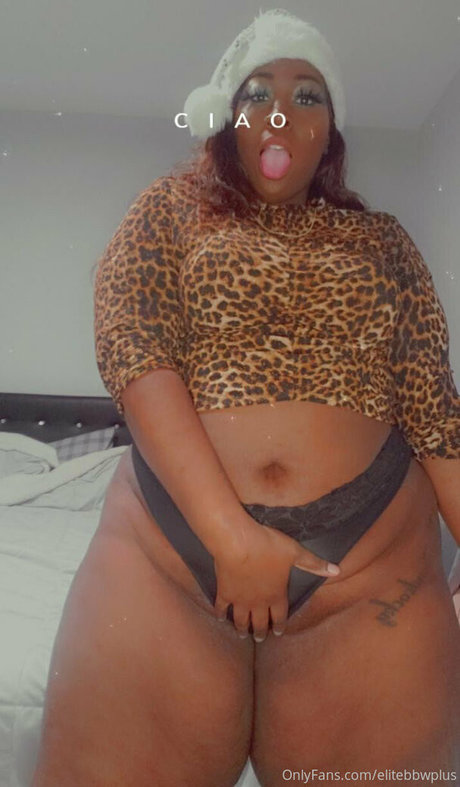 elitebbwplus star du porno gratuit collection