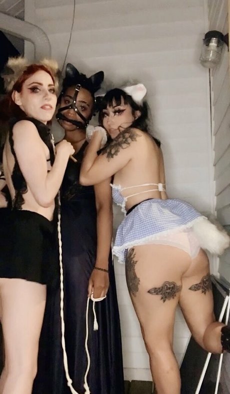 velvetmuerte étoile sympa image