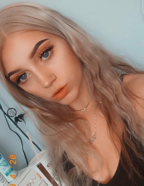 fans uniquement du dmv belle définition collection