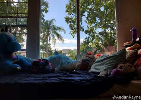 aedanraynevip étoile gratuite des photos