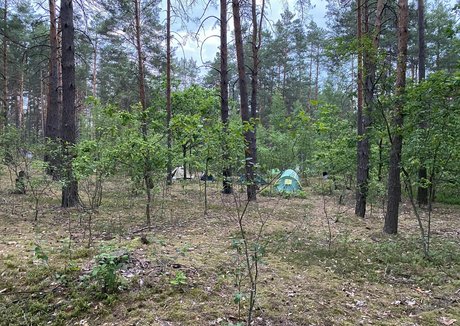 plage seins nus onlyfans nus xxx des photos