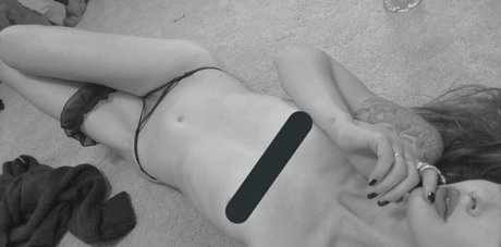 whimsywords star exclusive galeries