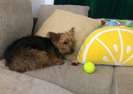 fisting lesbien onlyfans meilleur images