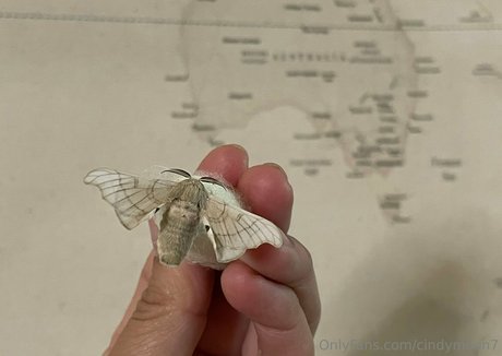 ancrage de onlyfans sexe pornographique photo