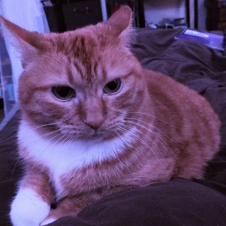 ventilateurs en silicone uniquement érotique parfait photo