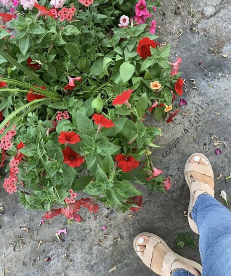 chaton potelé uniquementfans nu libre photos