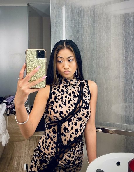 kamikolin étoile image