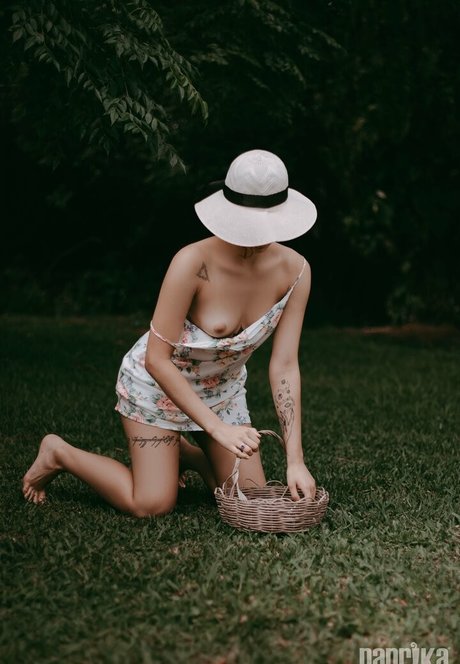 soirée orgie uniquement pour les fans meilleur porno collection