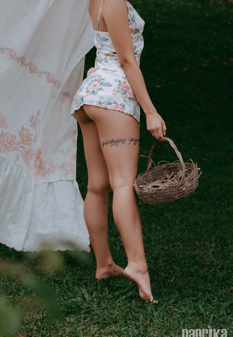 Paprika modèle gratuit archive