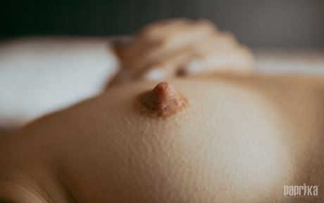 Paprika étoile exclusive image